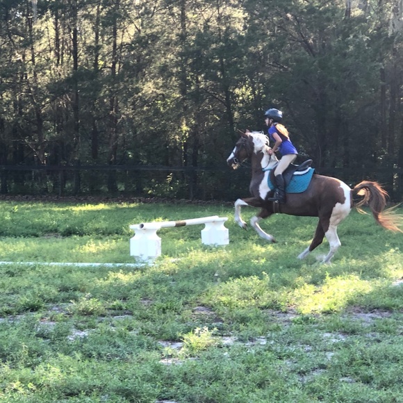 Meet your Posher, Sara - Picture 11 of 13